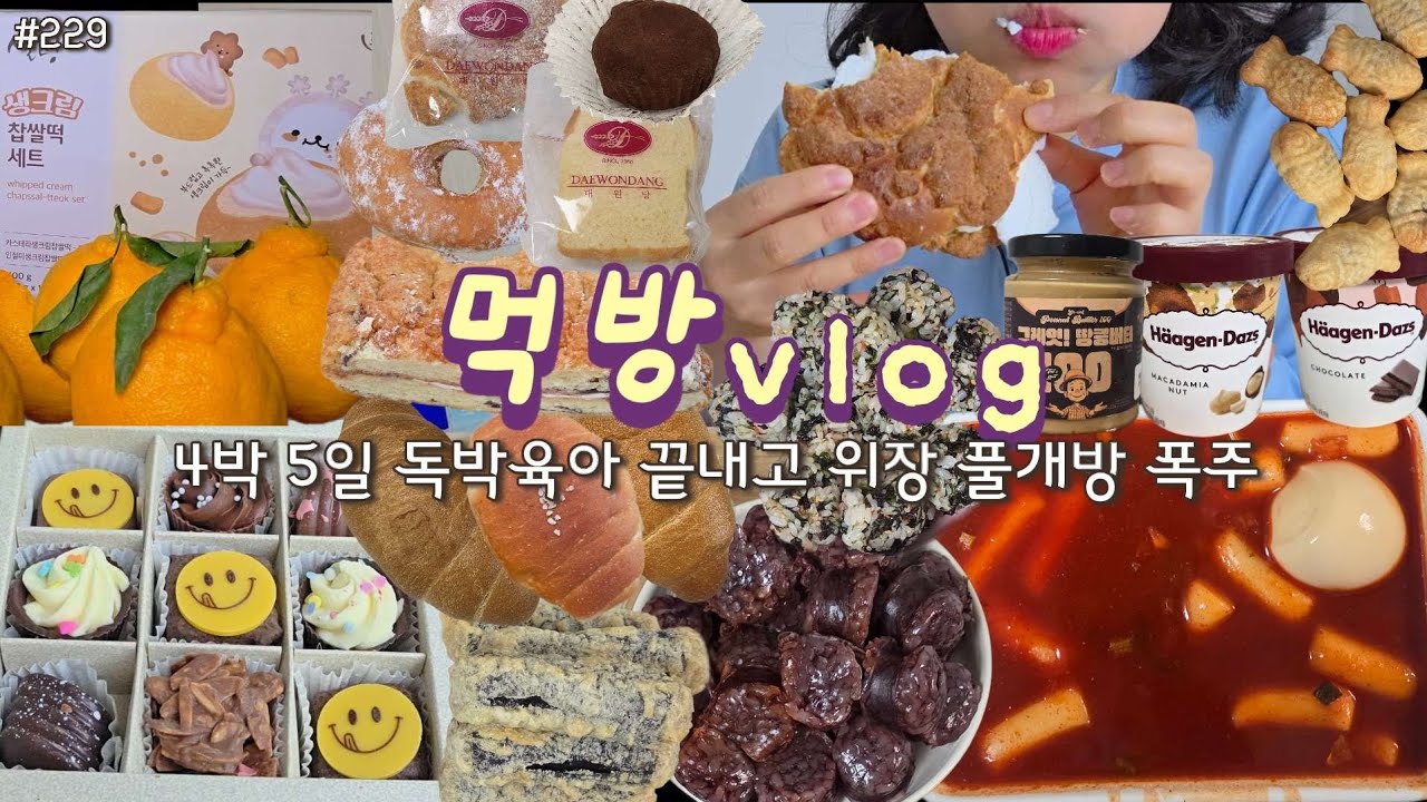 [먹방 브이로그] 스트레스는 빵폭식이랑 쇼핑으로 풀어🤪 떡튀순 하겐다즈 노티드 초콜릿 대원당 빵 설빙디저트 테무 추천