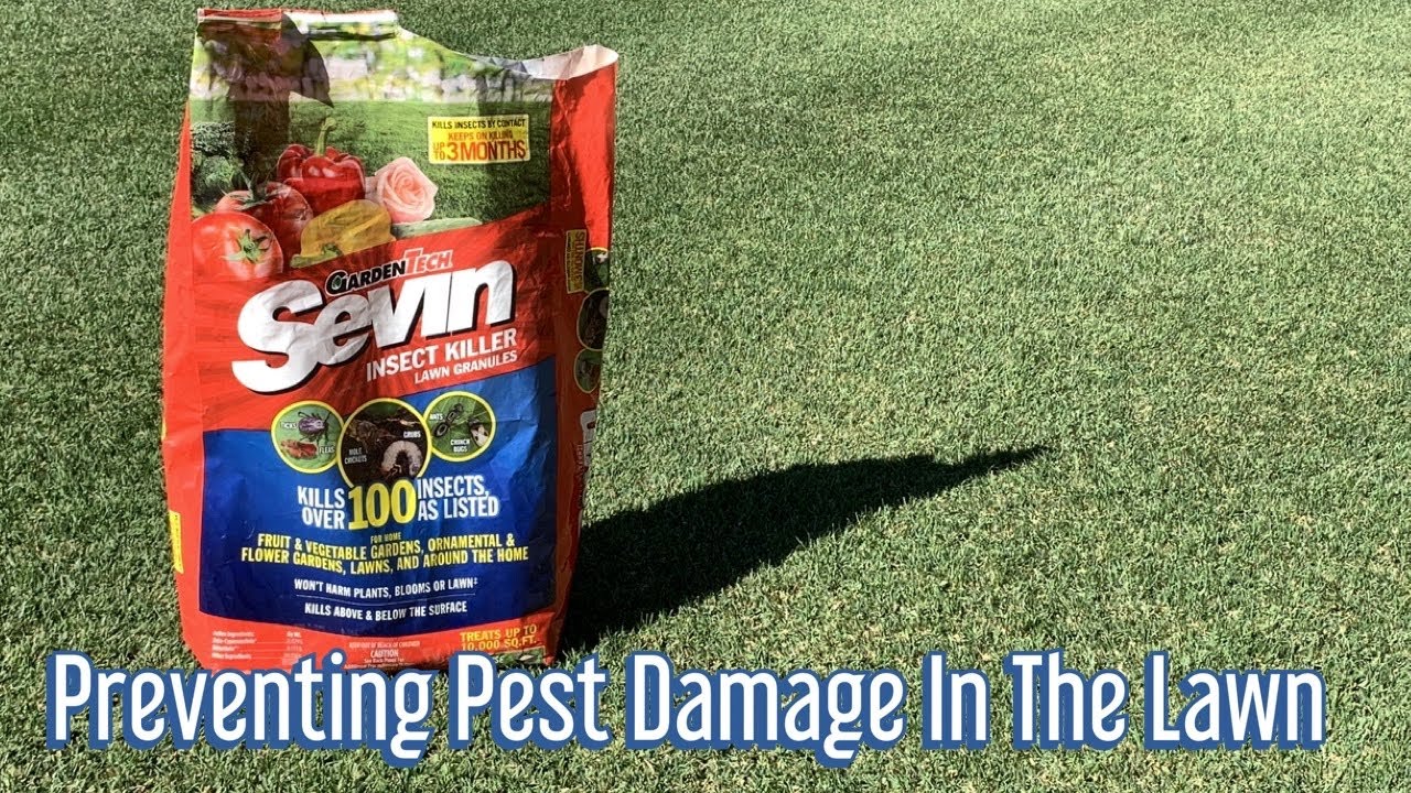 Keeping pests, bugs, grubs, and ants away from the lawn//Using Sevin Insect Killer