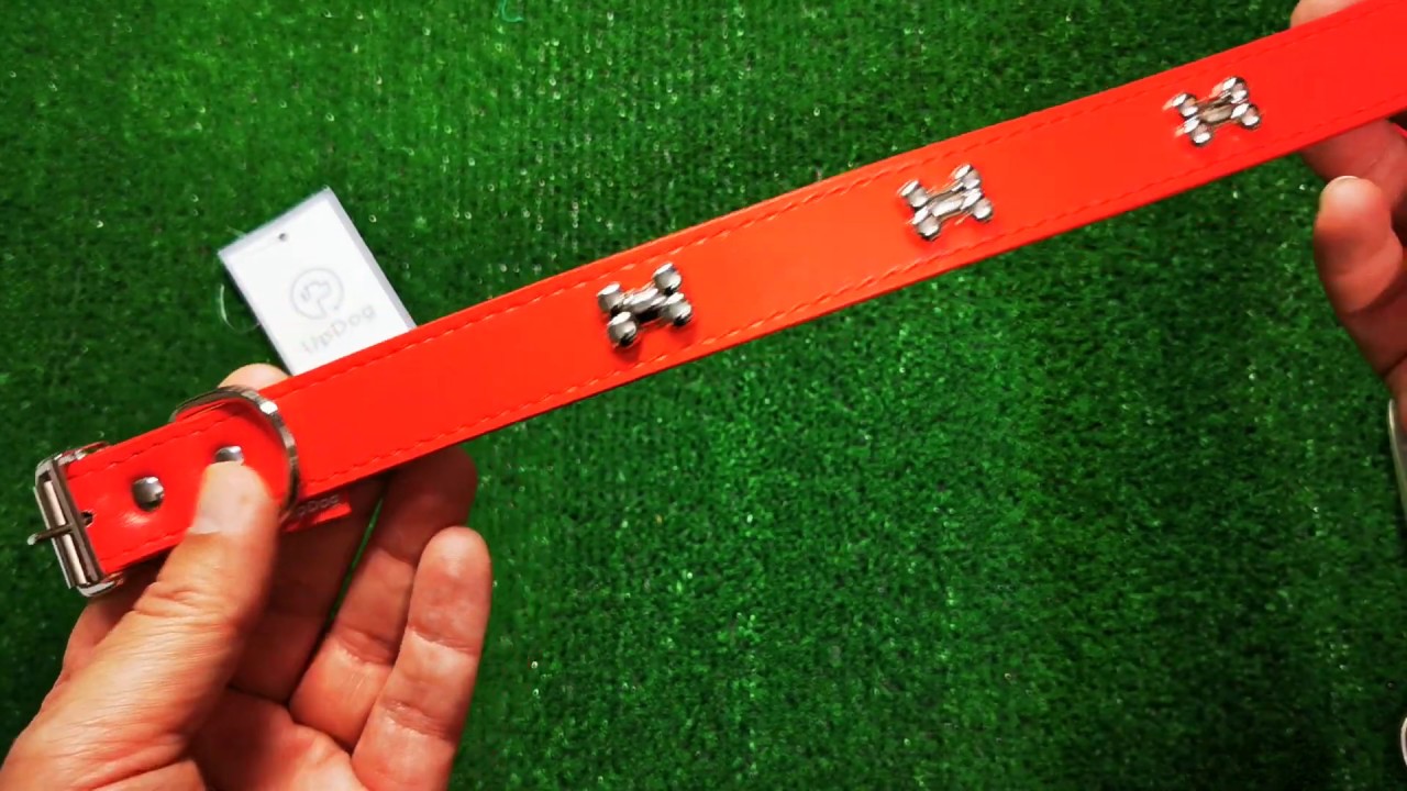 Collar para perro de cuero sintético con detalles de huesos, UpDog rojo talla L
