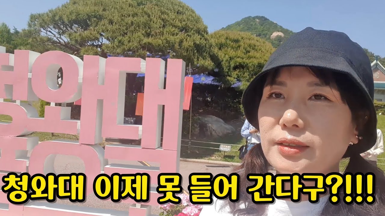 지금 아니면 못 볼수 있는 ✅청와대 곳곳 보여드립니다 #청와대 #청와대관람 #청와대투어
