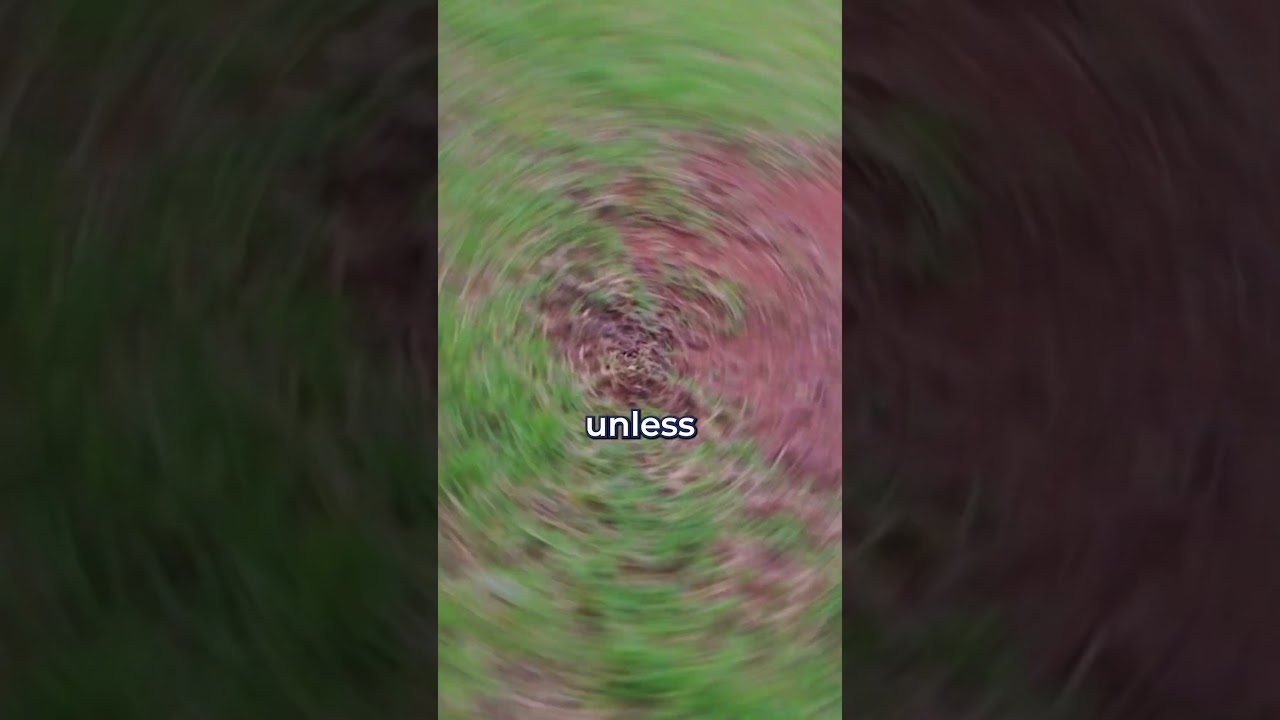 Why You Shouldn&rsquo;t Reseed Bermuda Grass!