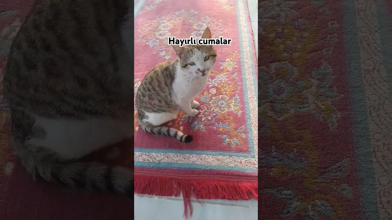 #cuma