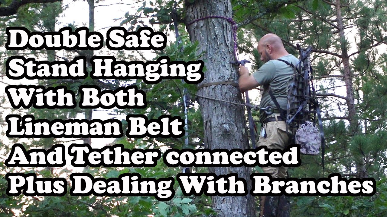 Hanging A Tree Stand Dealing With Branches Lineman Belt And Tether Connected