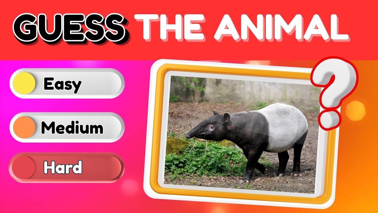 Find the Cute Animals 🐼 | Animal Spotting Fun! | Episode 1| Play2learnenglish