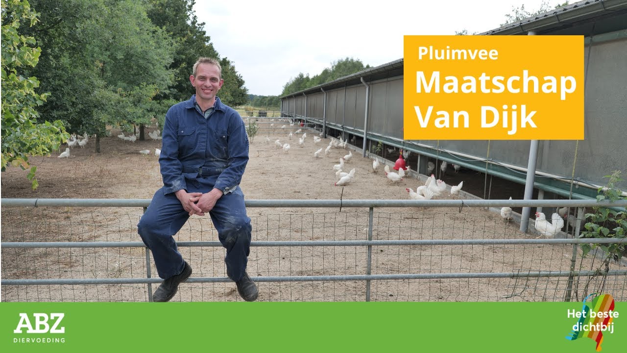 Maatschap Van Dijk Wekerom: Echt familiebedrijf met biologische leghennen, melkkoeien en loonwerk
