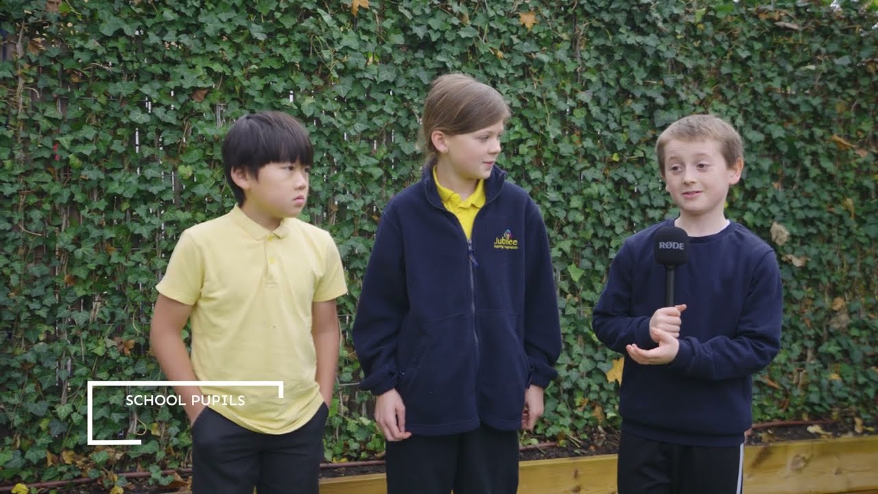 Reducing air pollution in Hackney Schools with ivy green screens