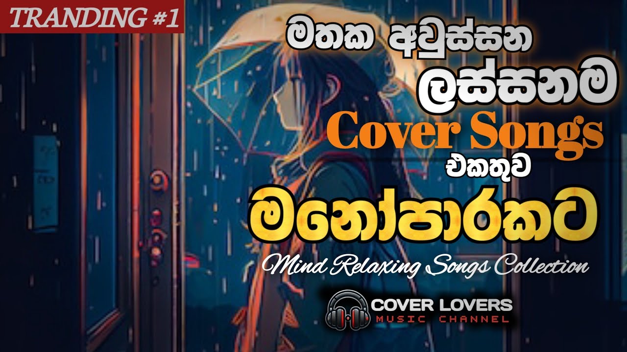 දුක හිතුන වෙලාවට තනියෙන් අහන්න😖💔|2025 මතක අවුස්සන ලස්සන cover songs එකතුව❣️|  #2025song #cover