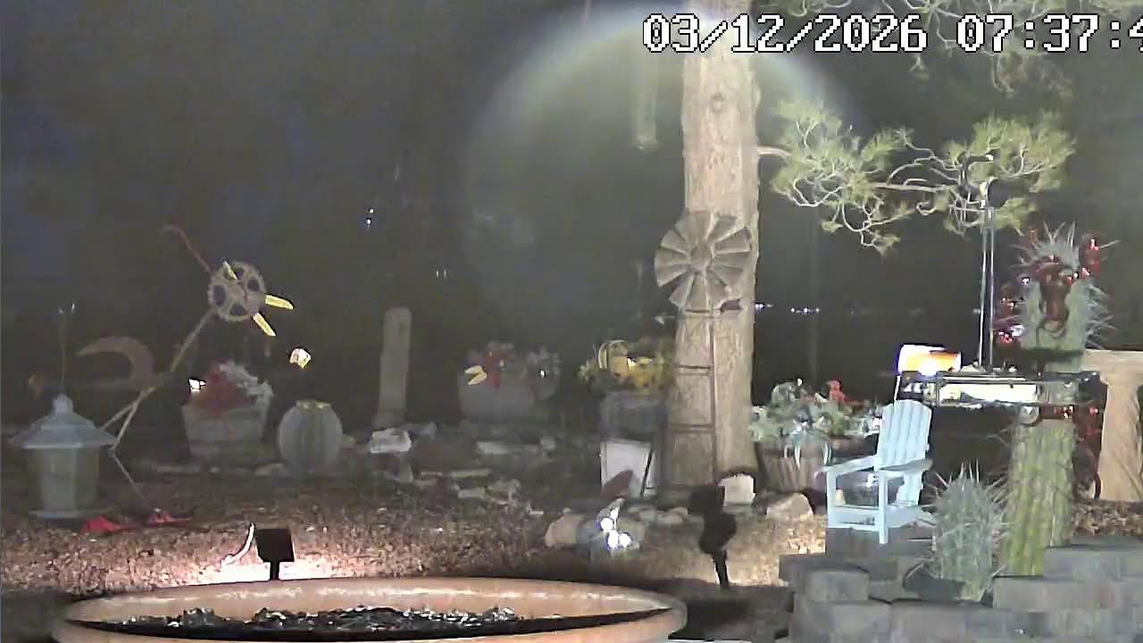 MOJAVE DESERT:LIVE:) :) NATURE SHOW #mojavedesert#nature#squirrels#birds