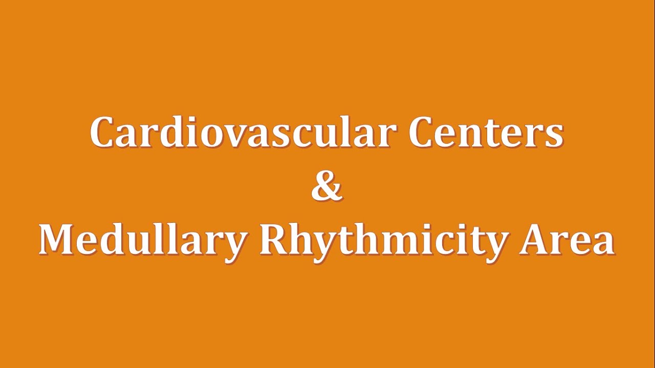 Explained: Cardiovascular centers and Rhythmicity area of Medulla