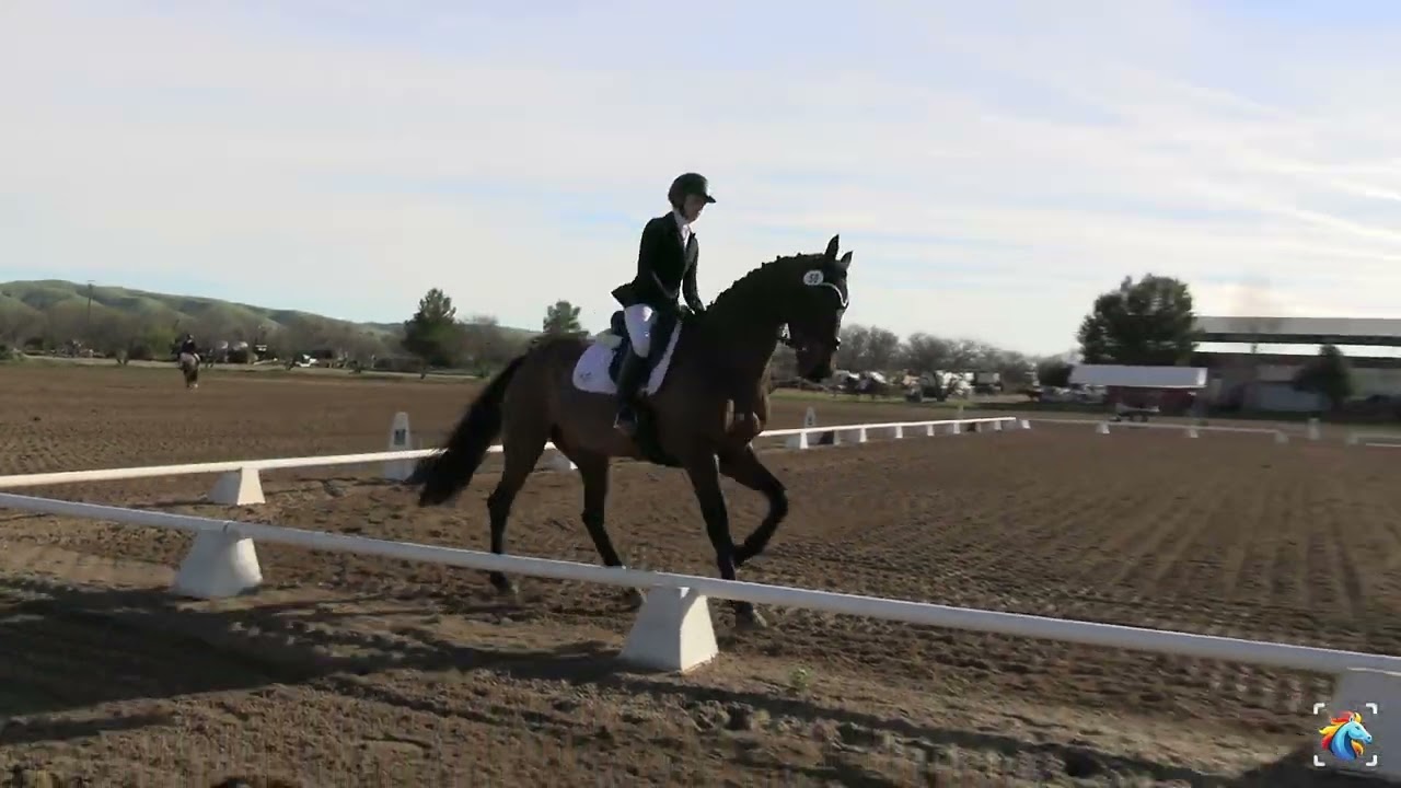 Nadia Vogt (New Gaillard AJK) - Twin Rivers Winter H.T. February 2026 - Preliminary - Dressage