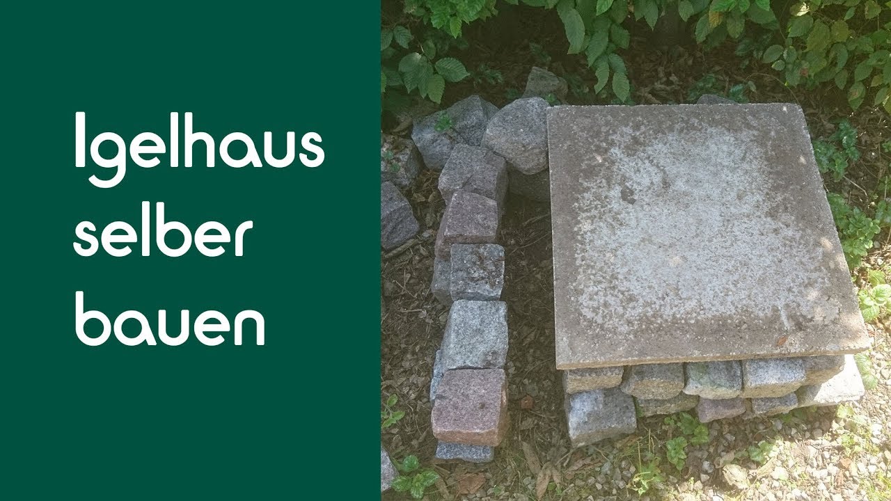 Igelhaus selber bauen in 10 Minuten