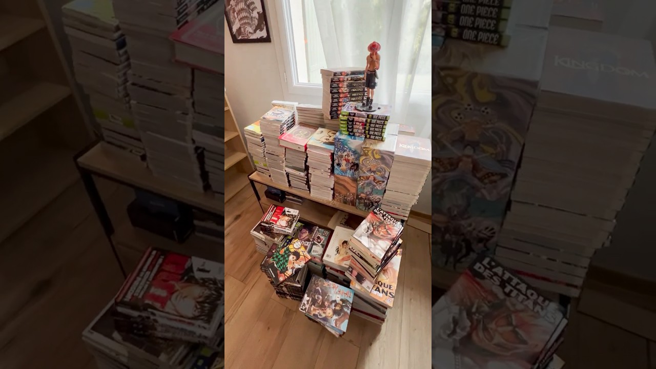 Rangement de la mangathèque ! Part.1 