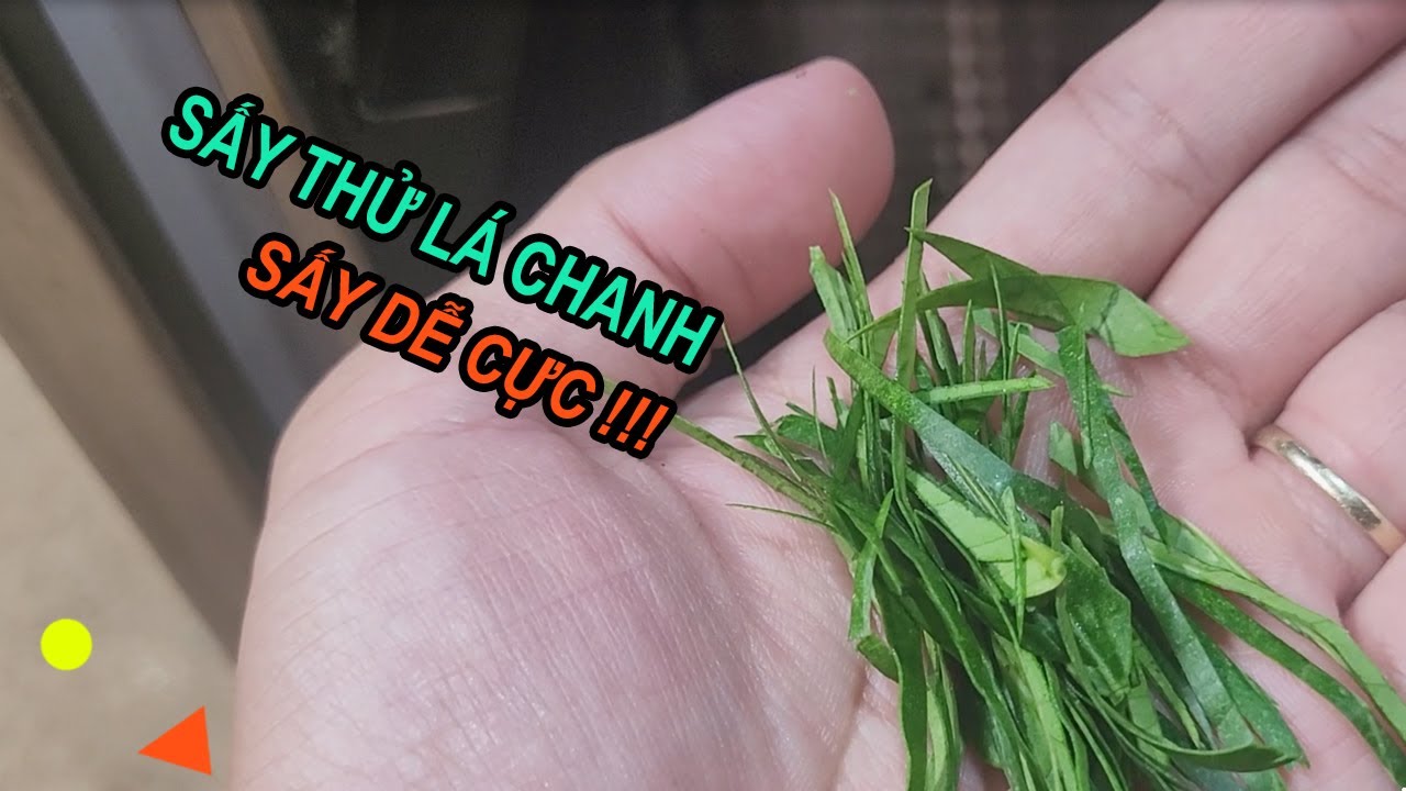 Sấy thử lá chanh, loại lá dễ sấy nhất mình từng sấy