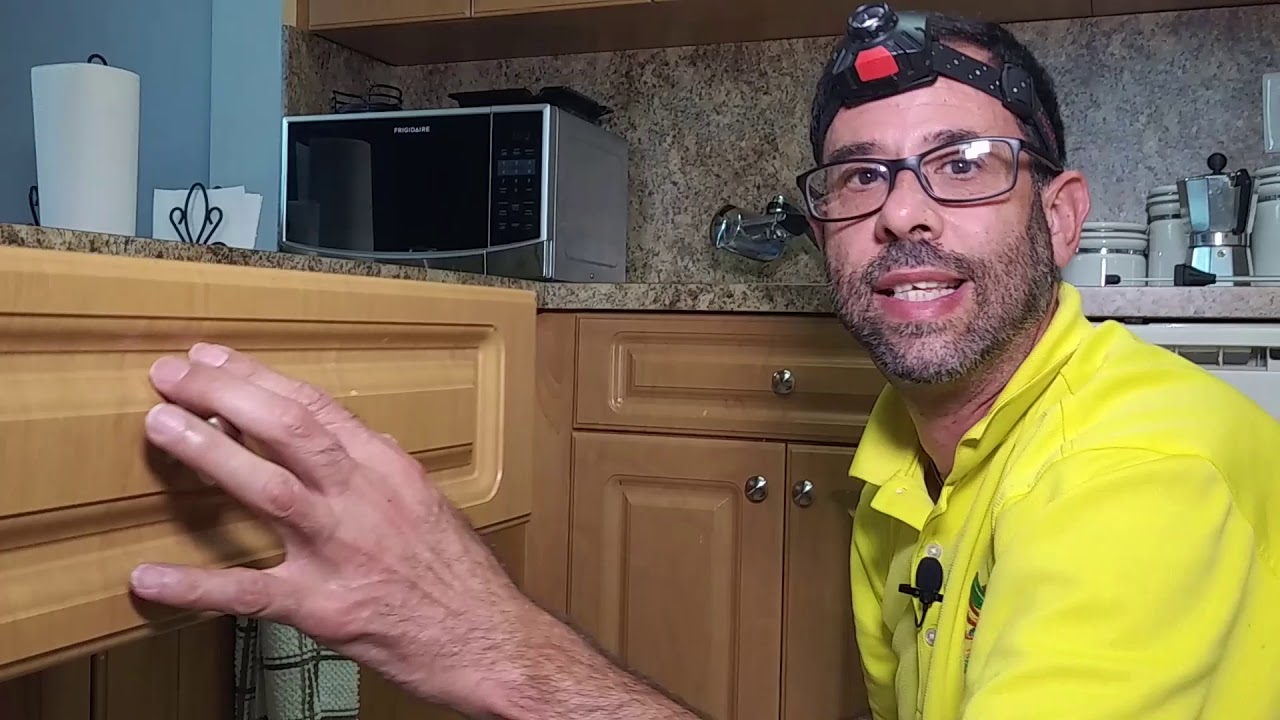 NaturePest Servicio Para El Control De Cucaracha Alemana como eliminar las cucarachas en casa