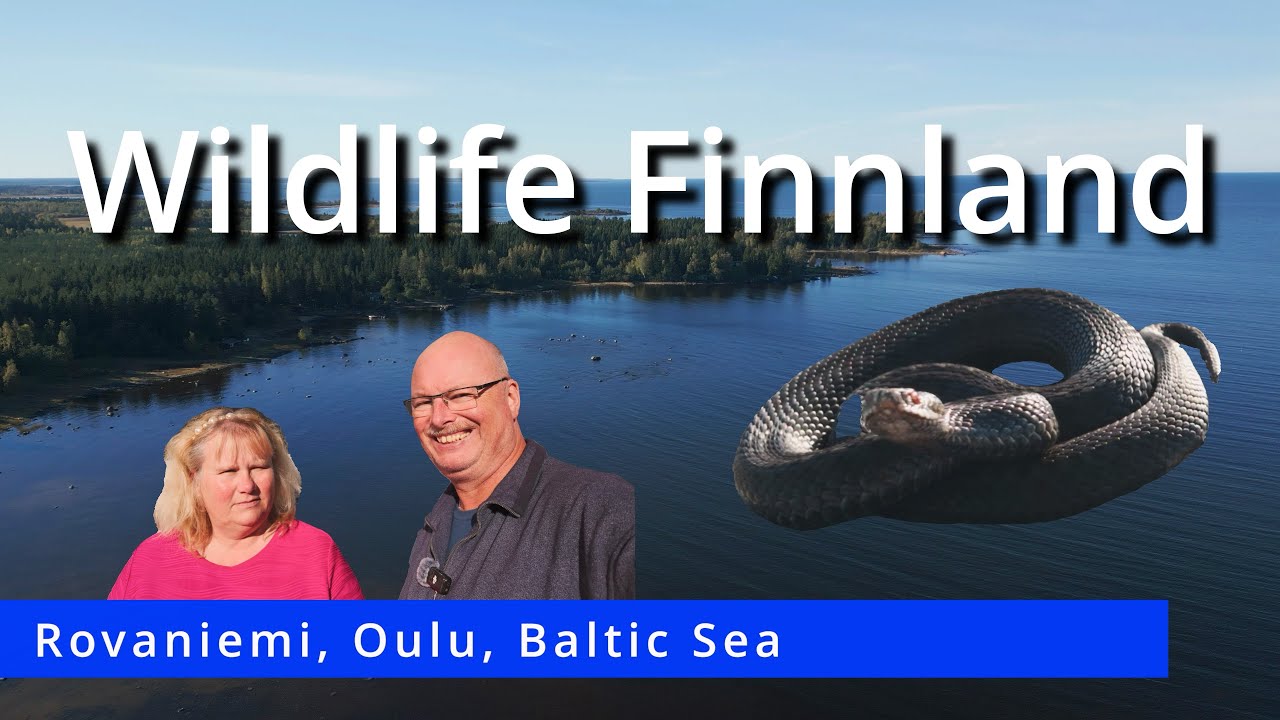 #73-Finnland Wohnmobil Roadtrip | Von Rovaniemi entlang der Ostsee bis Tampere