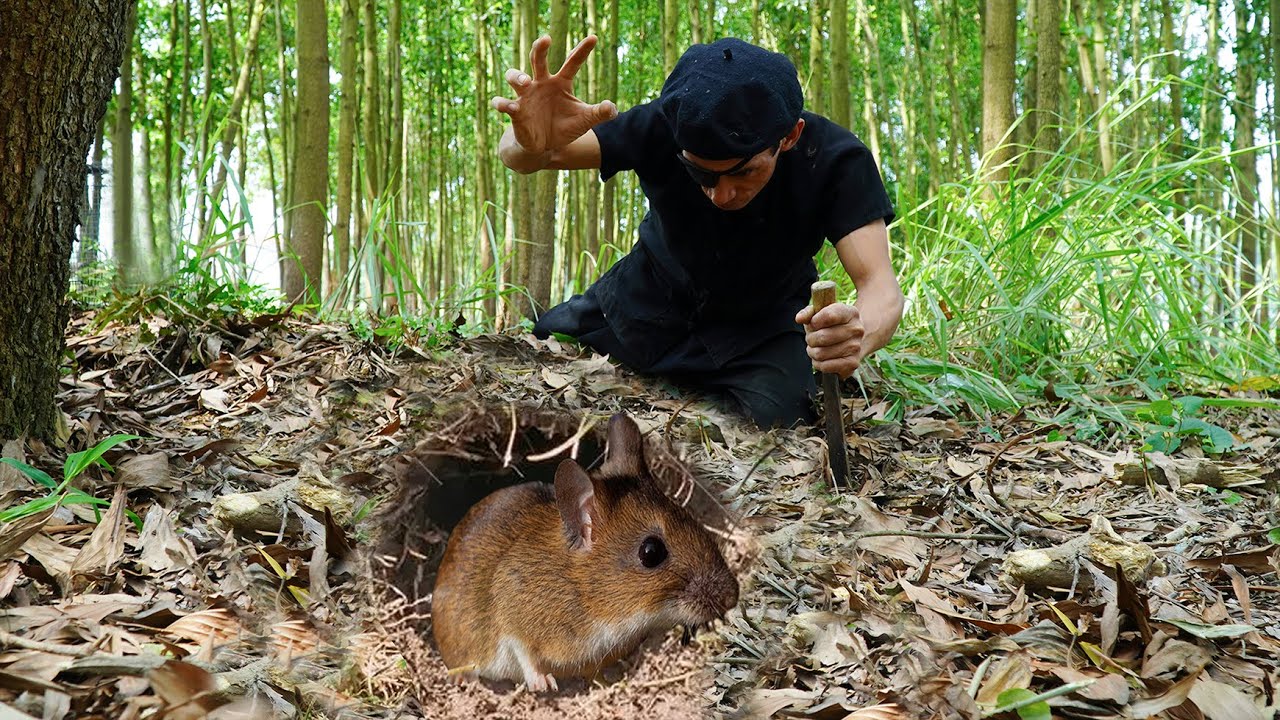 Mountain Life: Giant Rat Attack Ducks at Night, Set Traps, Dig Holes to Catch Rat | Wild Hunt Begins