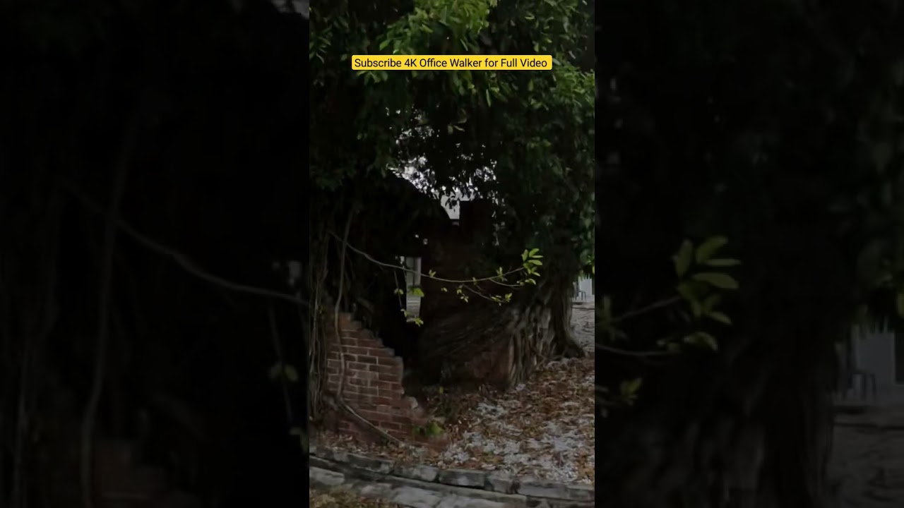 Batu Arang Selangor A Journey Through Time