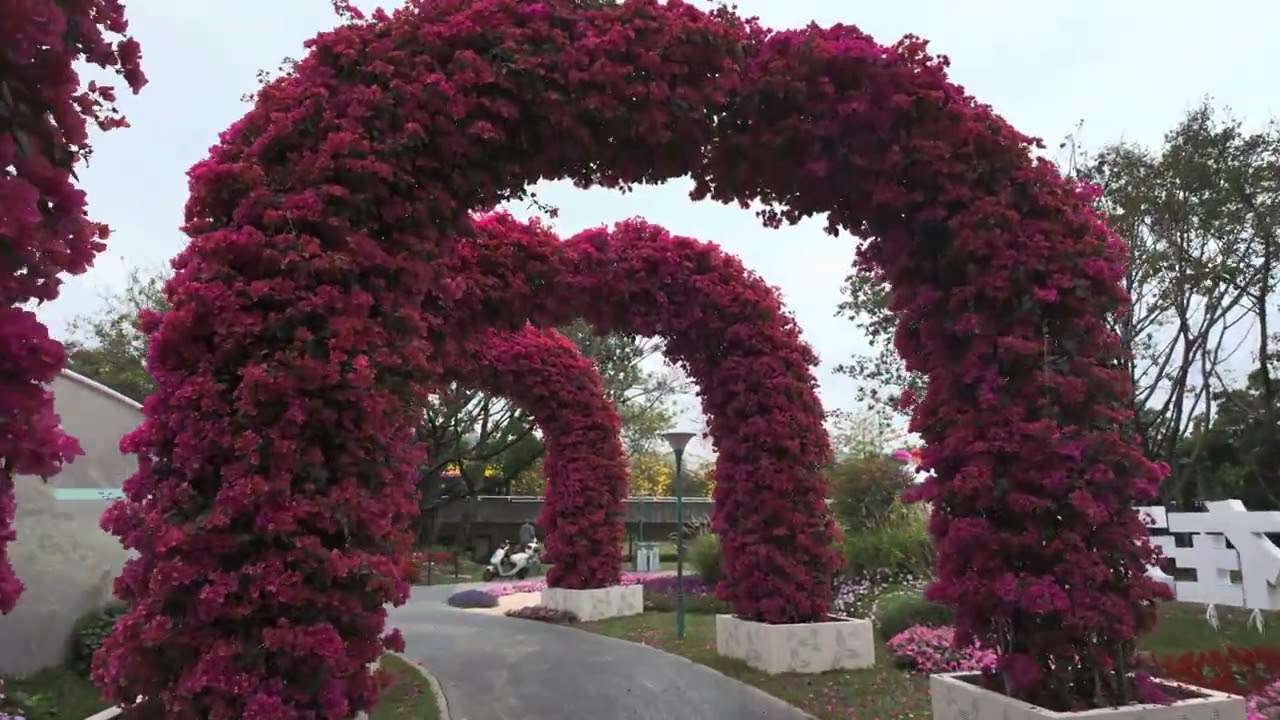 China’s Most Beautiful Flower Exhibition 🌸 - Guangzhou Garden Expo 广州园林展博会 | 广州最大花展 | 花城最美花海