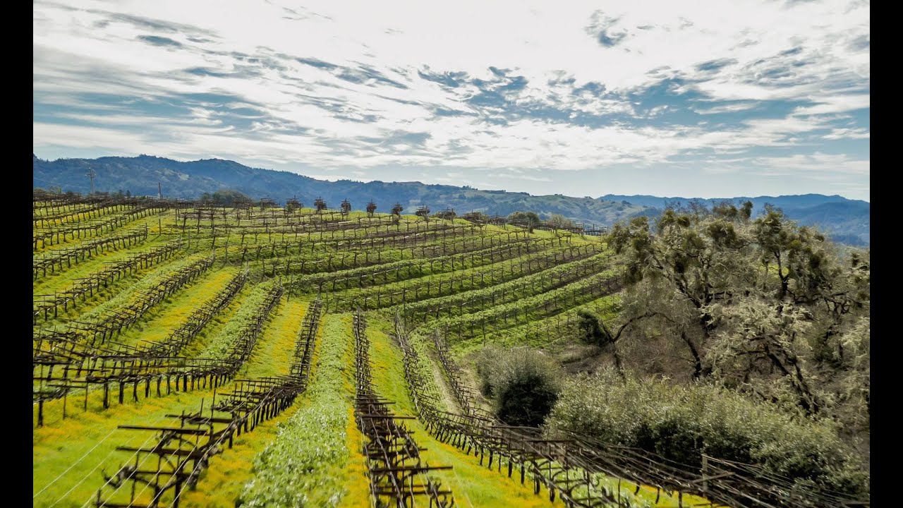 Exclusive Winery and Vineyard | Anderson Valley Estate, Mendocino County, California