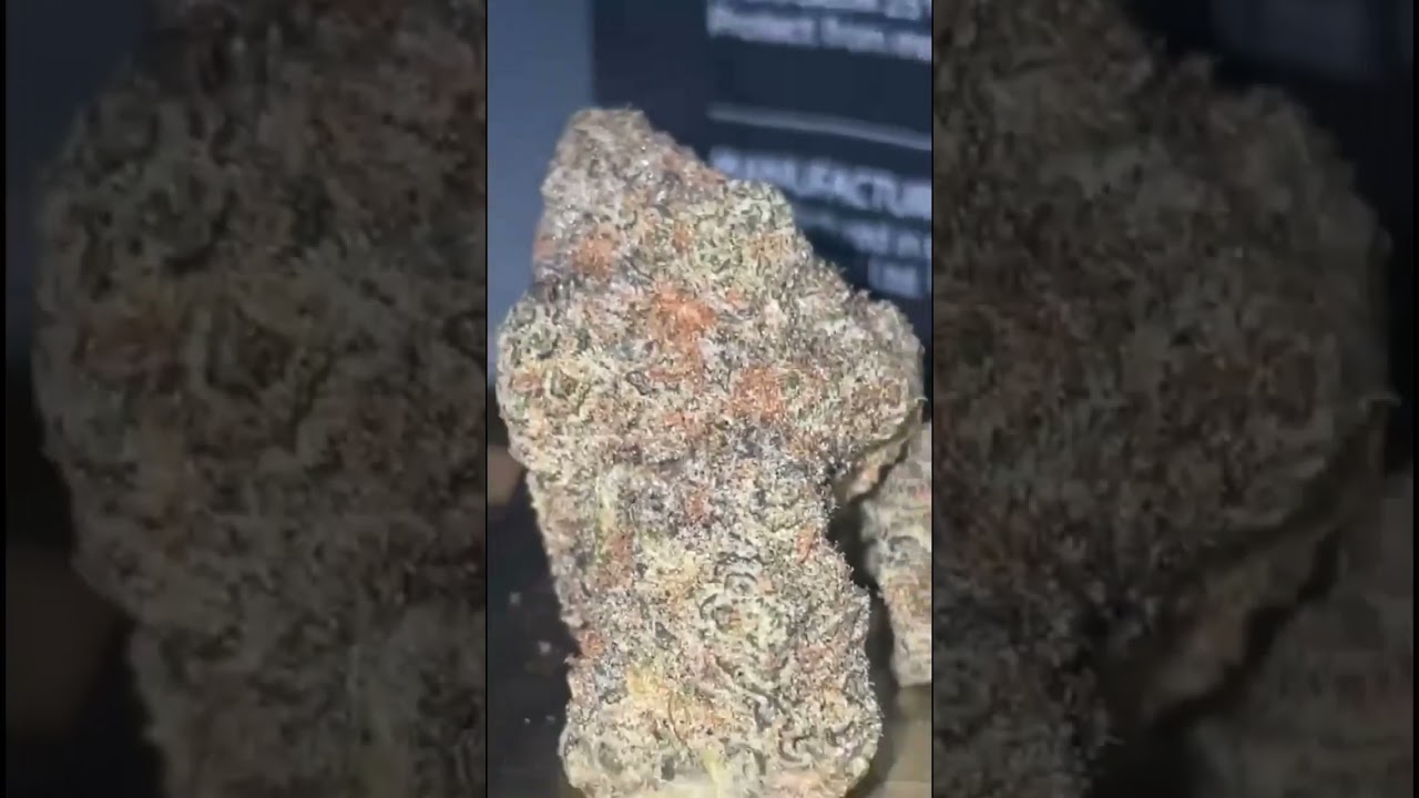 4c labs donkey butter 36% Grease monkey x Triple OG #foryou #medicalcannabis #legal