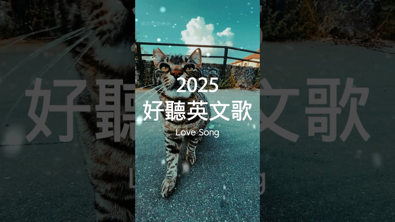 【2025全新英文歌】🎧 五月最佳英文抒情音樂｜讀書、工作最佳選擇 💼🎶 | chill/ study/work | #music #playlist #chill 讀書音樂/工作音樂/放鬆音樂