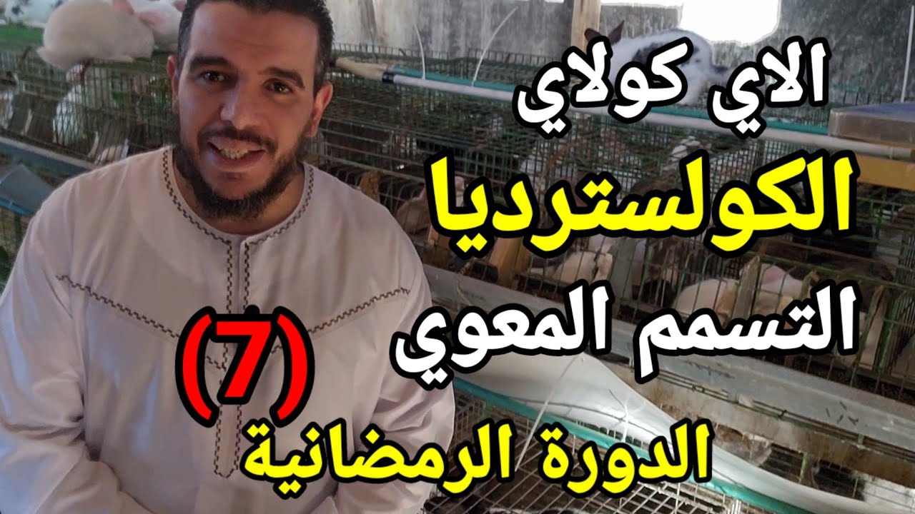 الاي كولاي التسمم المعوي الكولسترديا في الارانب الدورة الرمضانية(7)