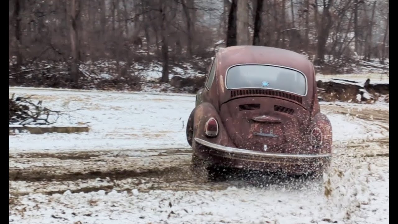 Rusty Backyard Beetle Snow Slides