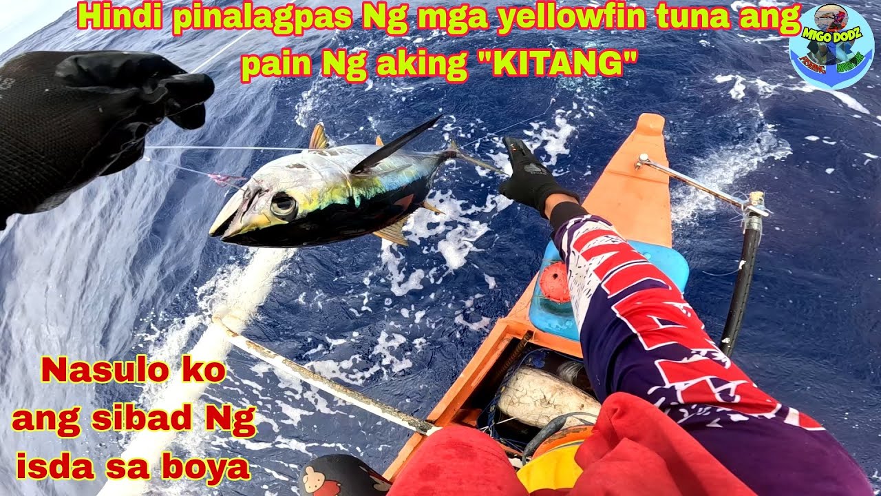 Part262 pacific adventure| Hindi pinalagpas Ng mga yellow fin tuna ang pain Ng aking kitang