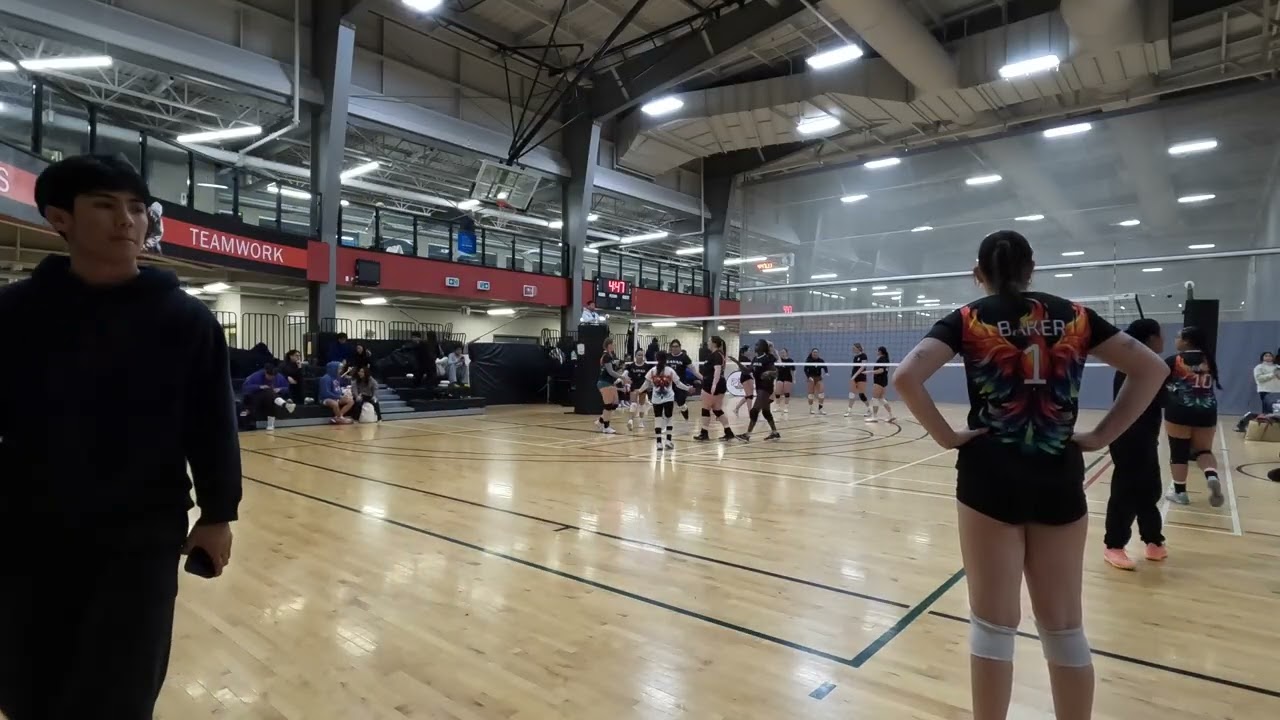 PSL Tournament Day 2 - LAVAN vs Humbug Hitties