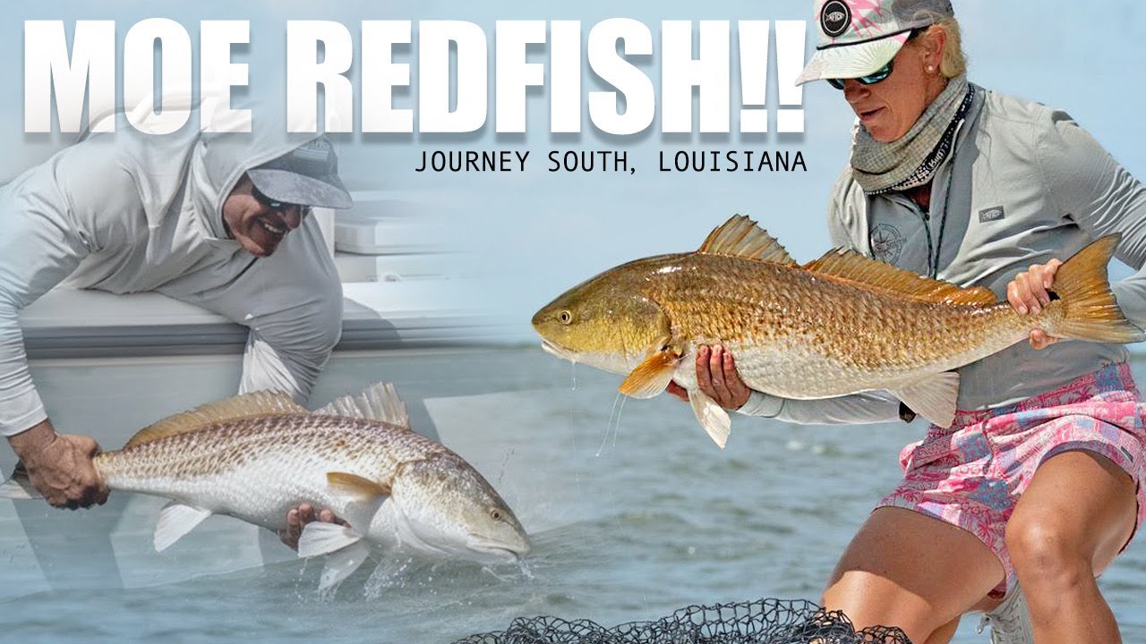 Chasing Giant Bull Redfish in Venice! | S10:E8 Local Knowledge