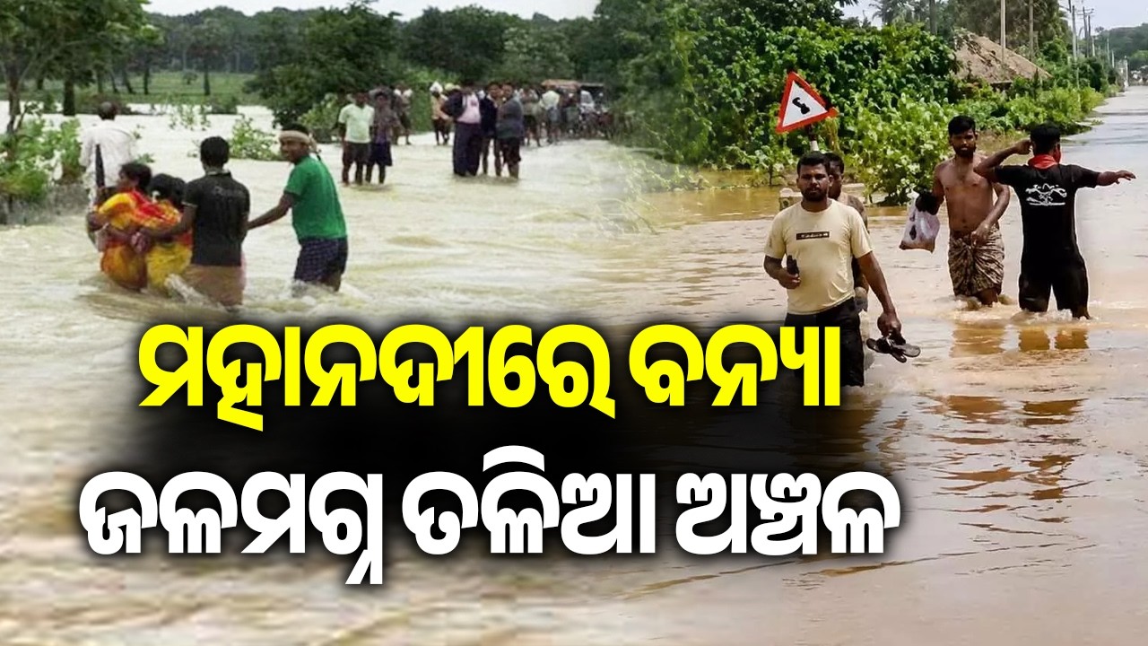 Mahanadi Flood Threat Intensifies in Jagatsinghpur, Kujang Areas Submerged | Kalinga TV
