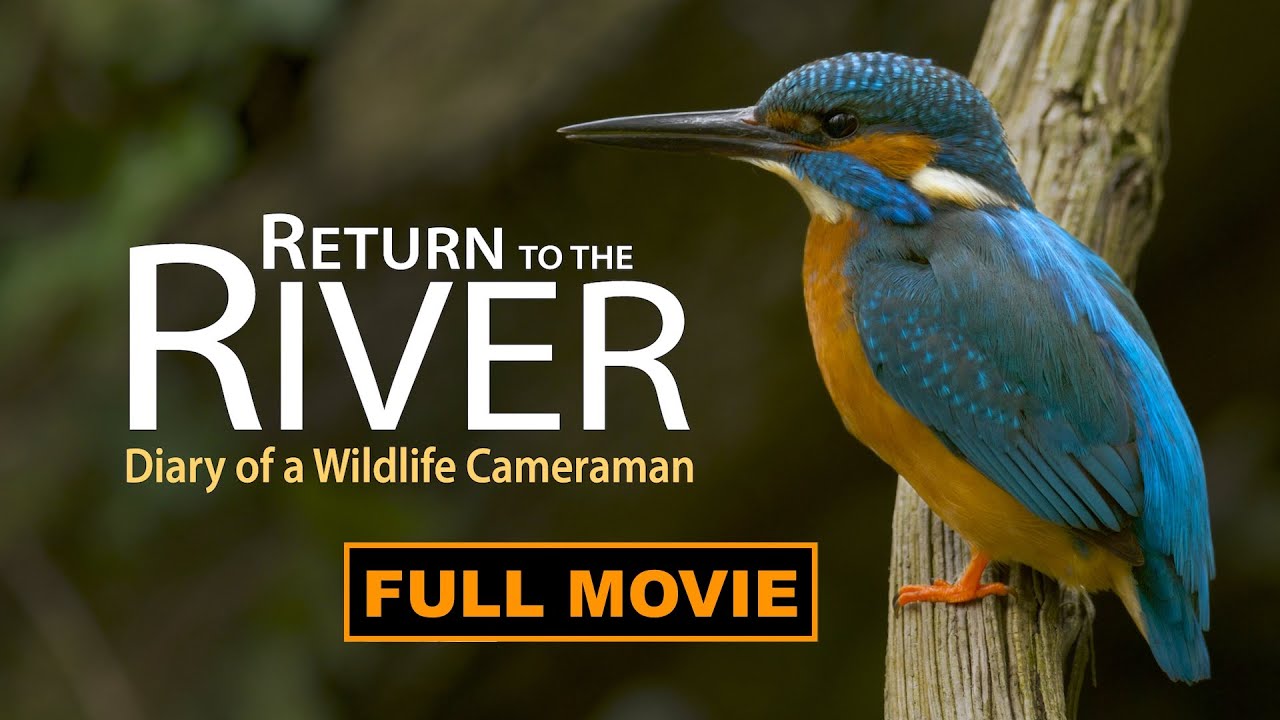The Kingfisher, the Otter and Worlds You've Never Seen