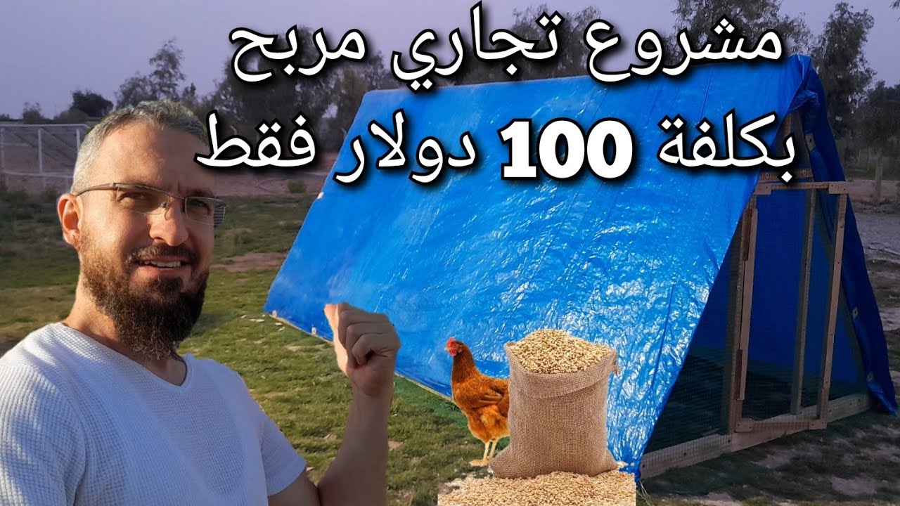 مشروع تجاري مربح يبدأ ببناء قفص لدجاج البياض أو التسمين مع الأسعار و خطوات العمل (61)