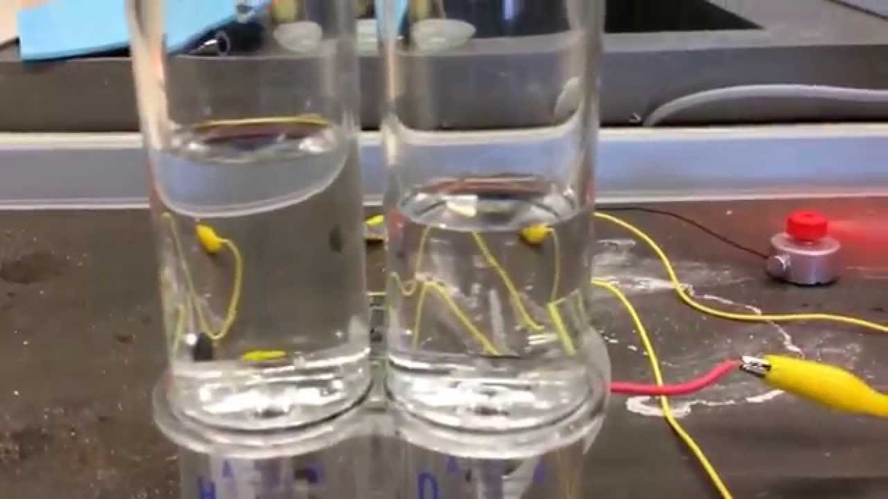Nel video si vede una cella a combustibile (fuel cell) che "brucia" idrogeno.