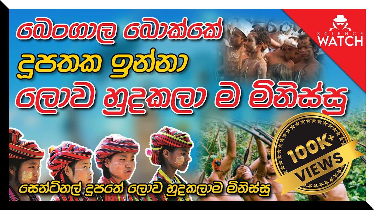 බෙංගාල බොක්කේ දූපතක ඉන්නා ලොව හුදකලා ම මිනිස්සු | Sentinelese - The most isolated tribe in the world