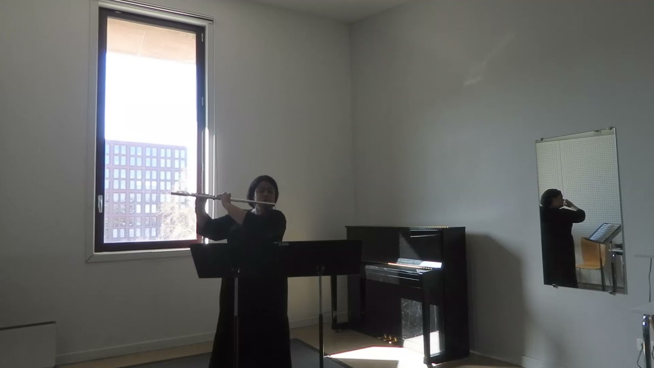 E. Köhler Étude 14 op 75. Fantaisie n6 G. P. Telemann