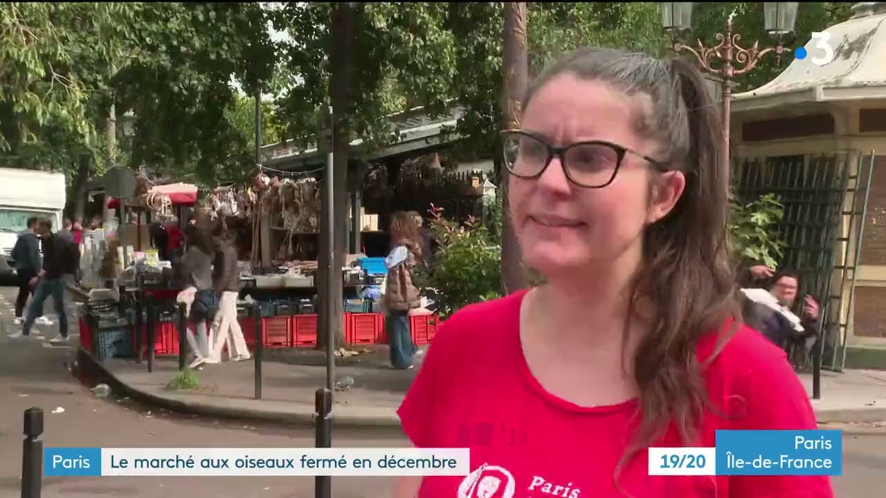 France 3 - 2/10/2022 - marché aux oiseaux