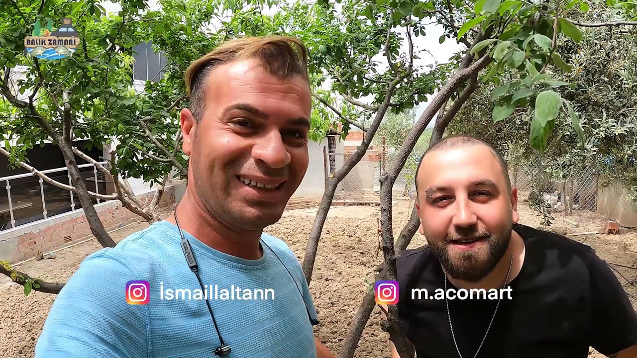 ÇİPURA, MİDYE İLE NASIL AVLANIR ? [ midye ile takoz Çipura, garantili )