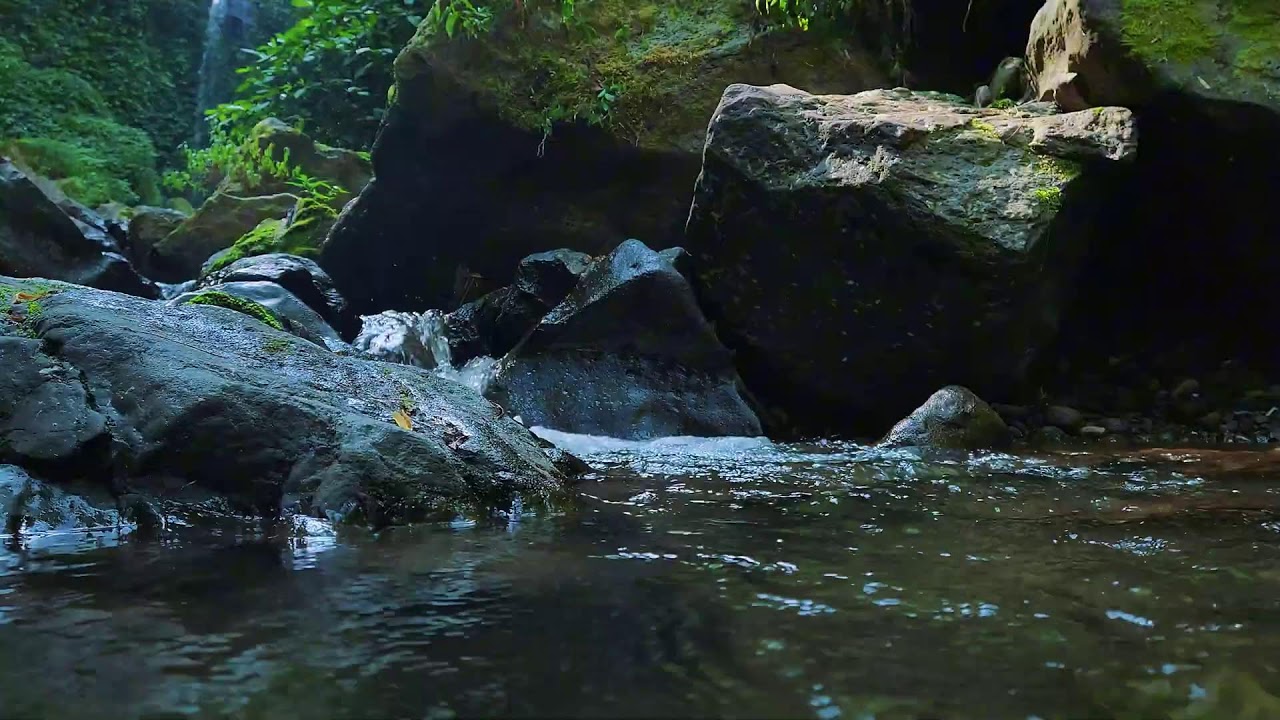 Purest Sounds of water &ndash; Ridge Run &mdash; no city noise, only creek.