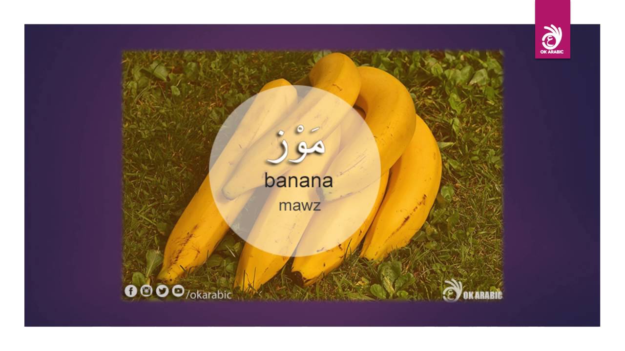 Learn Arabic for Beginners - Vocabulary 5