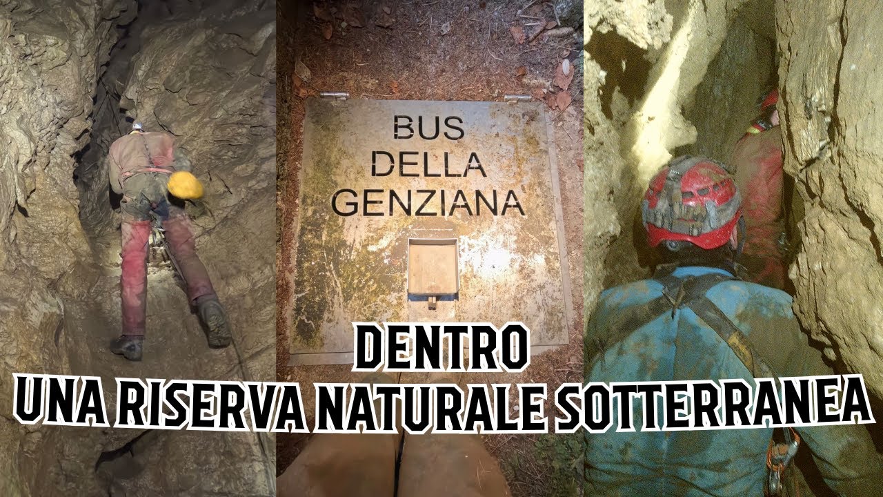 BUS DELLA GENZIANA  -  PIAN DI CANSIGLIO