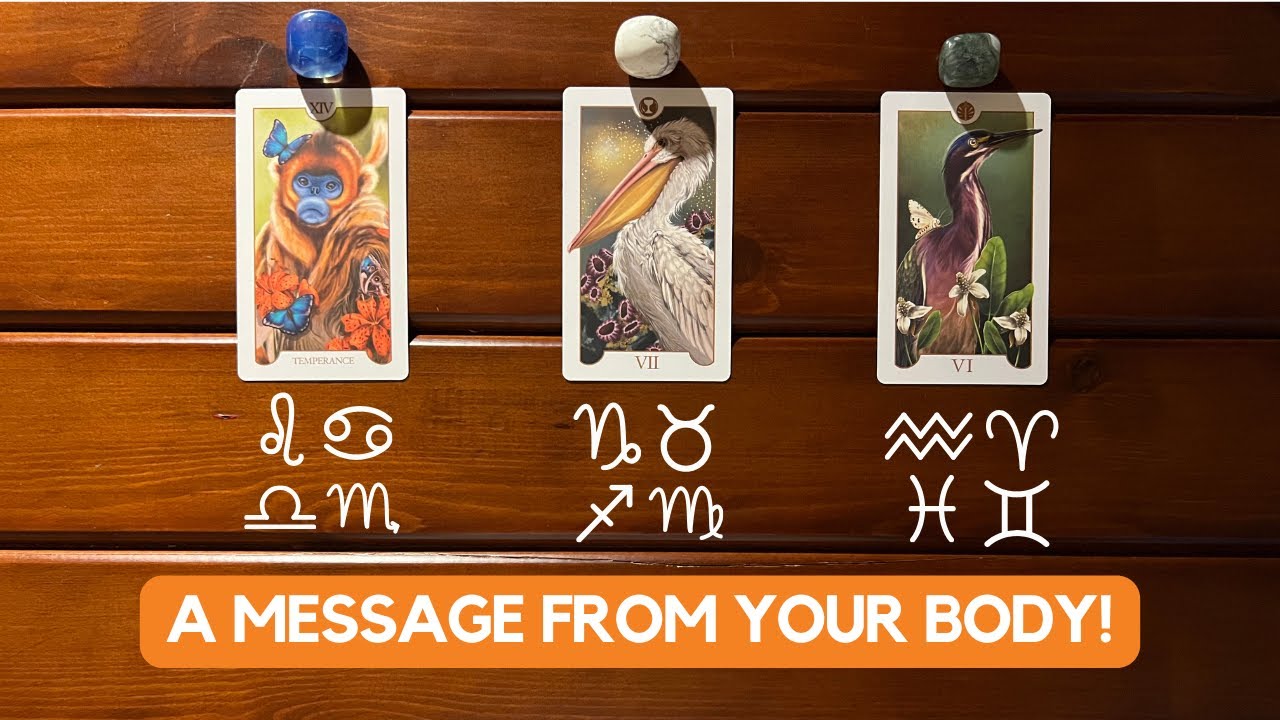 A Message from Your Body! ✨👁 👄 🧠 🦷 🫀✨| Timeless Reading