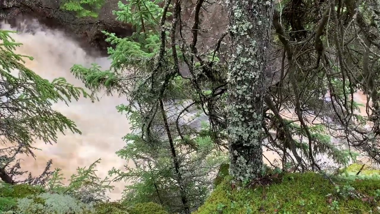 Styggforsen Aug 2023, Omsluten