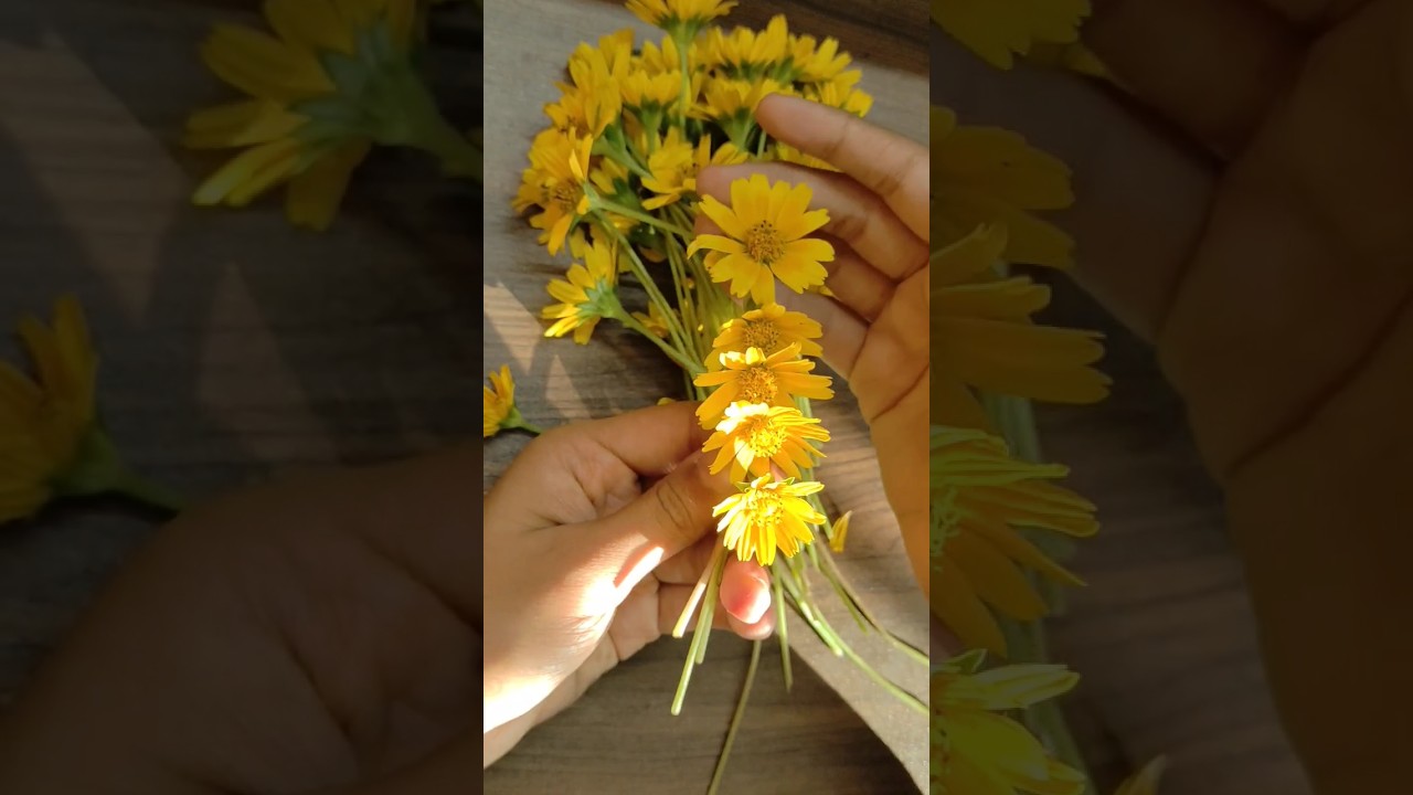 Diy natural flower crown 🌼#diy#trending #youtubeshorts #dendelions