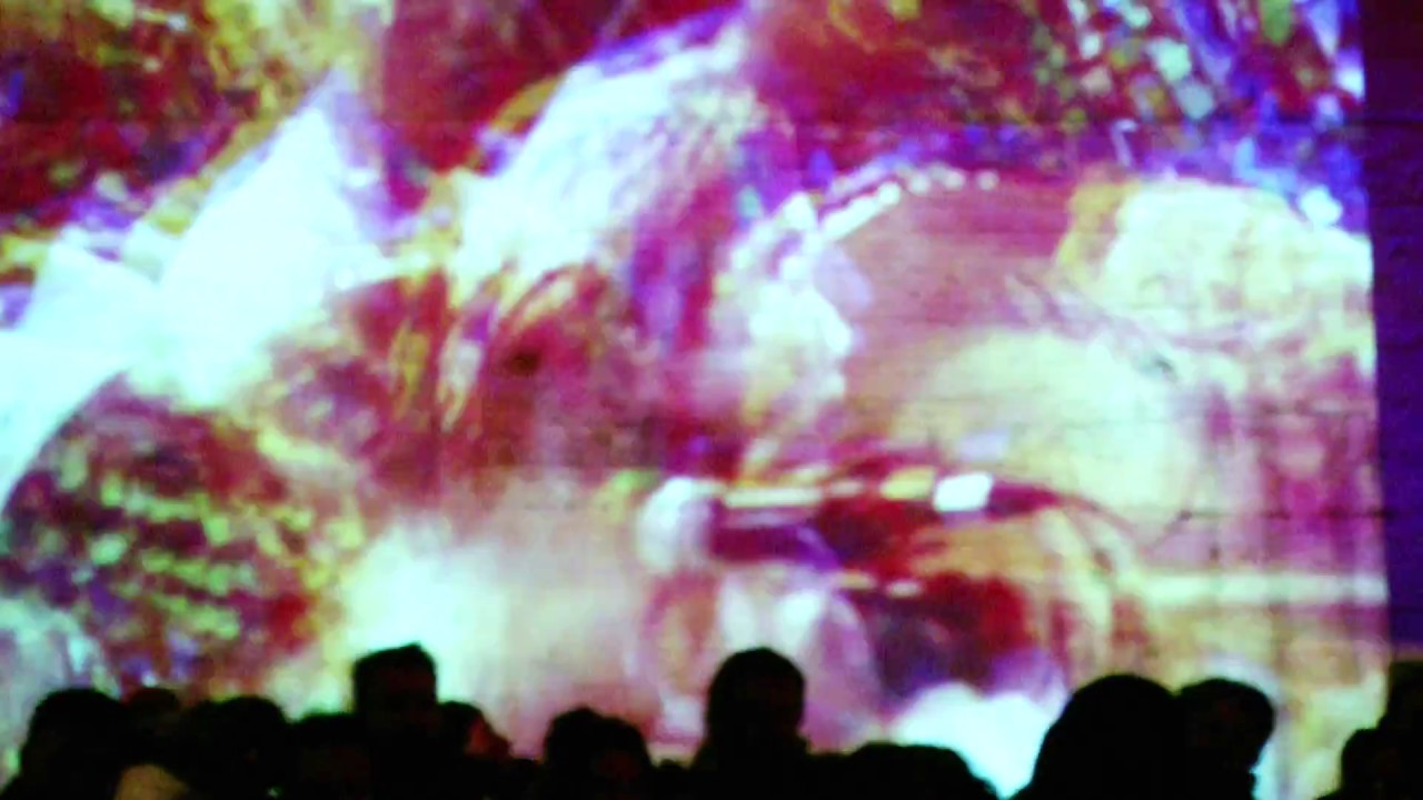 VINCENT MOON Live  - Priscilla Telmon, Rabih Beaini, Senyawa & Shara Nova  / Michelberger Music 2016