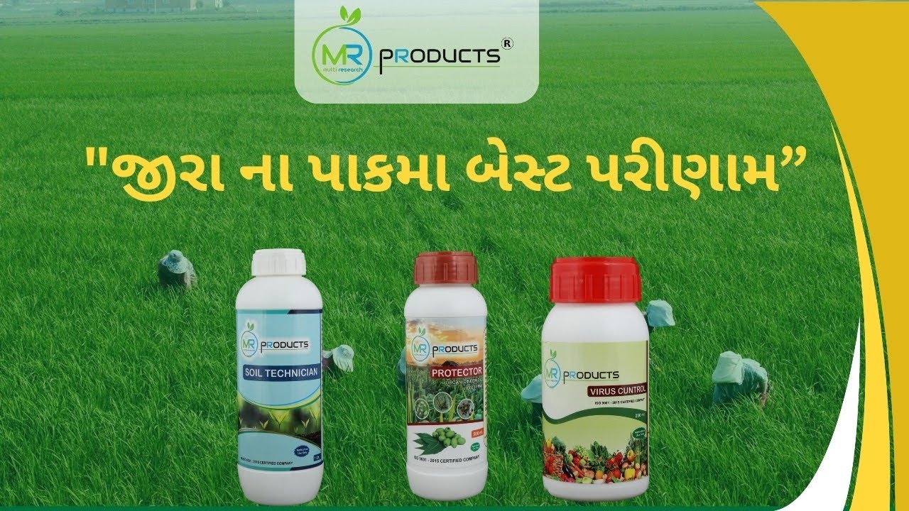 જીરા ના પાકમાં જોરદાર રિઝલ્ટ 🔥 ખેડૂત ખુશ, પાક સુપરહિટ 🌿