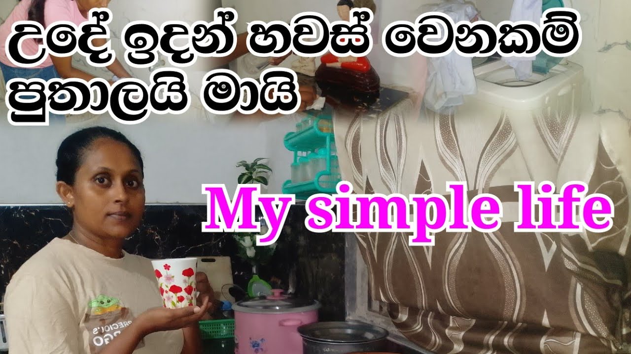 සරල මගේ ජීවිතයෙන් දවසක් ❤️ #dayvlogs#ishuslife#motivation 
