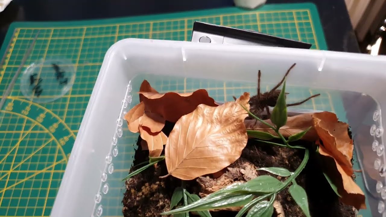 Unboxing #1 - Was kam heute an?