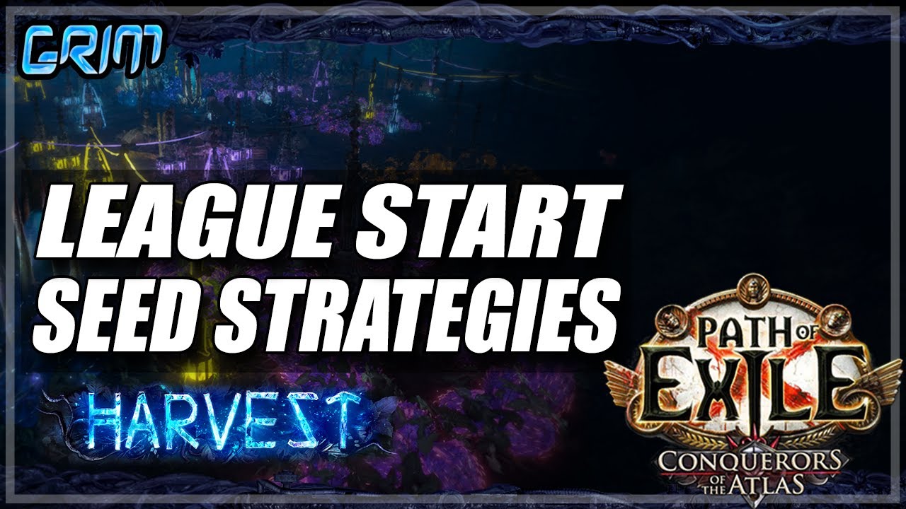[Path of Exile 3.11] League Start Seed Crafting Strategies