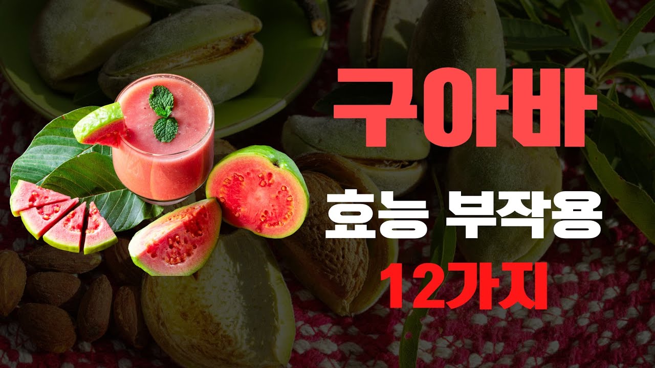 구아바 효능 & 부작용